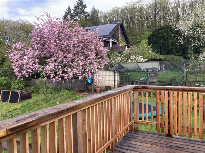 Terrasse im Frühling mit blühendem Baum